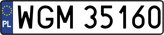 WGM35160