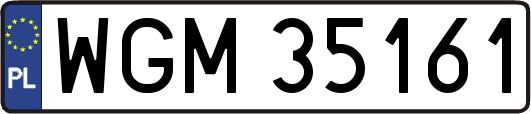 WGM35161
