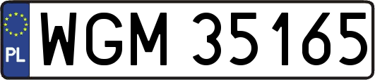 WGM35165