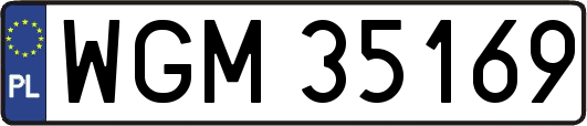 WGM35169