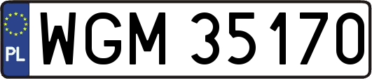WGM35170