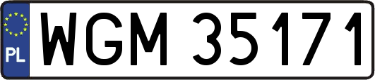 WGM35171