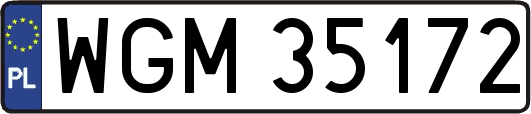 WGM35172