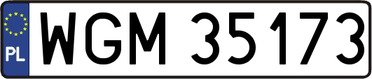 WGM35173