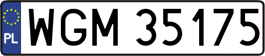 WGM35175