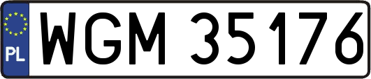 WGM35176