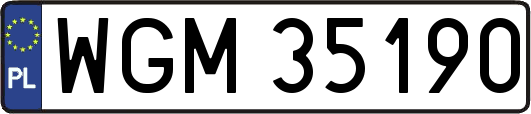 WGM35190