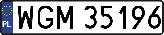 WGM35196