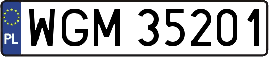 WGM35201