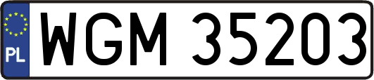 WGM35203