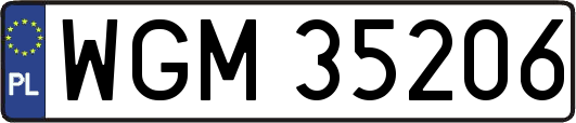 WGM35206