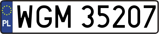 WGM35207