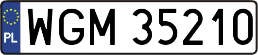 WGM35210
