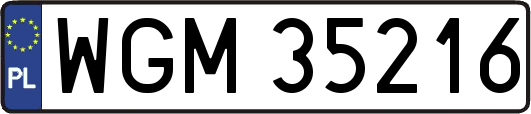 WGM35216