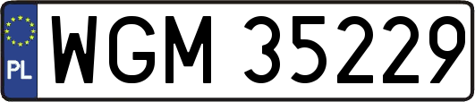 WGM35229
