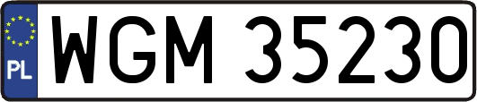 WGM35230
