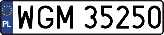 WGM35250