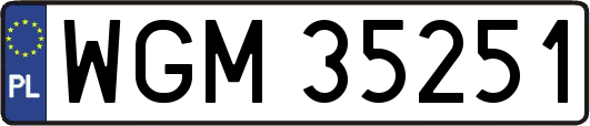 WGM35251