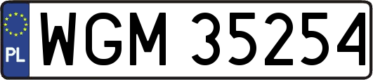 WGM35254