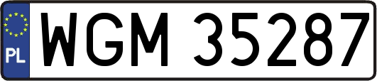 WGM35287