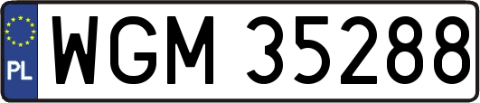 WGM35288