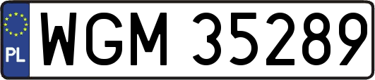 WGM35289