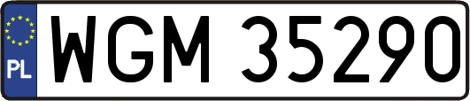 WGM35290