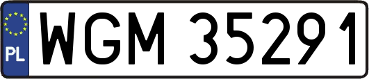 WGM35291