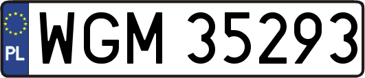 WGM35293