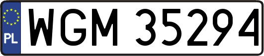WGM35294