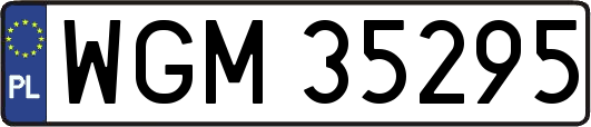WGM35295