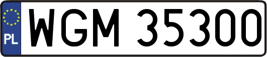 WGM35300