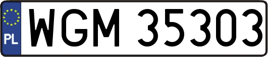 WGM35303