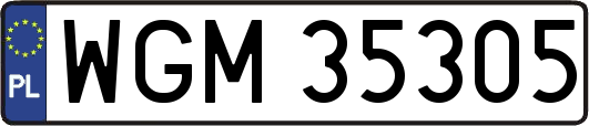WGM35305