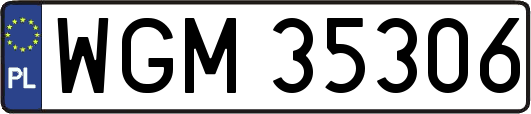 WGM35306