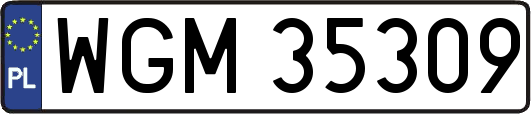 WGM35309
