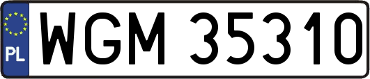 WGM35310