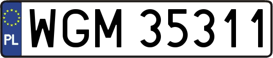 WGM35311