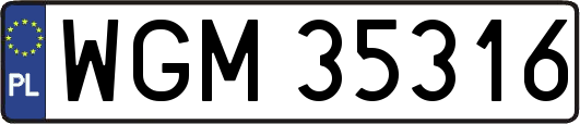 WGM35316