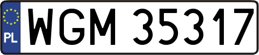 WGM35317