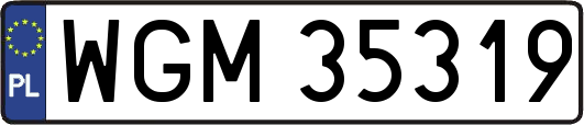 WGM35319