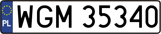 WGM35340