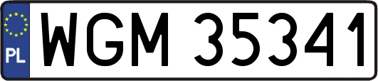 WGM35341