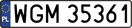 WGM35361