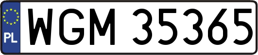 WGM35365