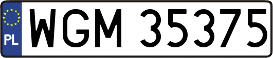 WGM35375