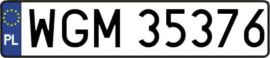 WGM35376