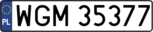 WGM35377