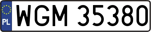 WGM35380