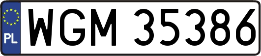 WGM35386